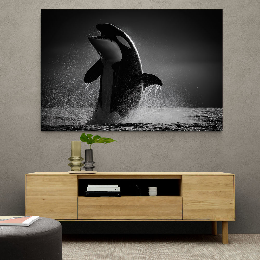 The Orca Dance The Orca Dance