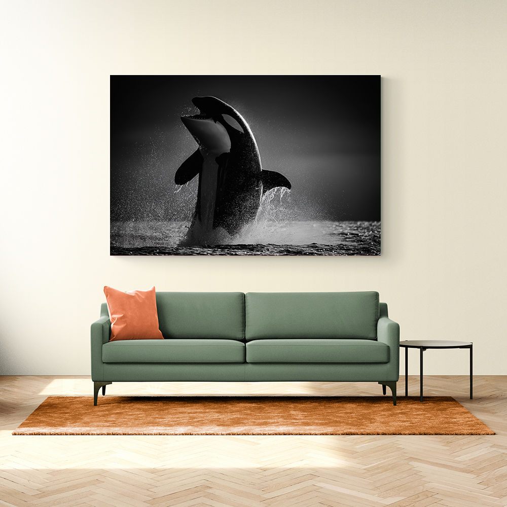 The Orca Dance The Orca Dance