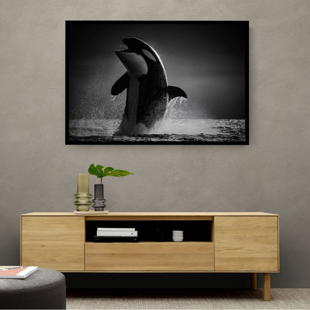 The Orca Dance The Orca Dance