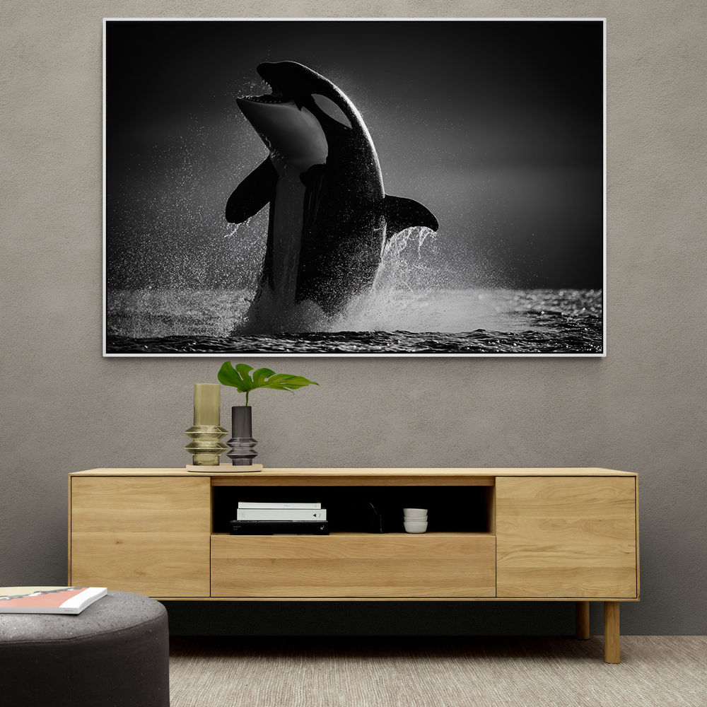 The Orca Dance The Orca Dance