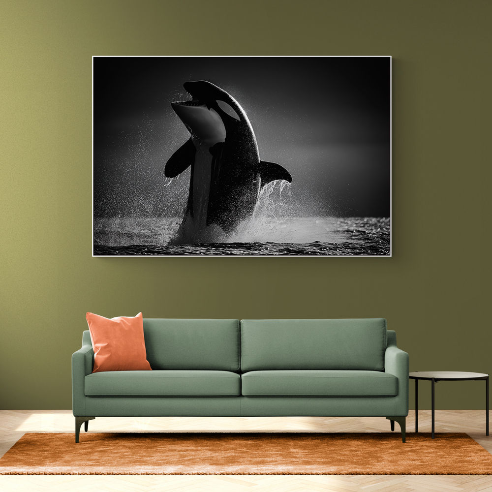 The Orca Dance The Orca Dance