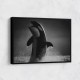 The Orca Dance The Orca Dance