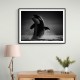 The Orca Dance The Orca Dance