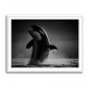 The Orca Dance The Orca Dance