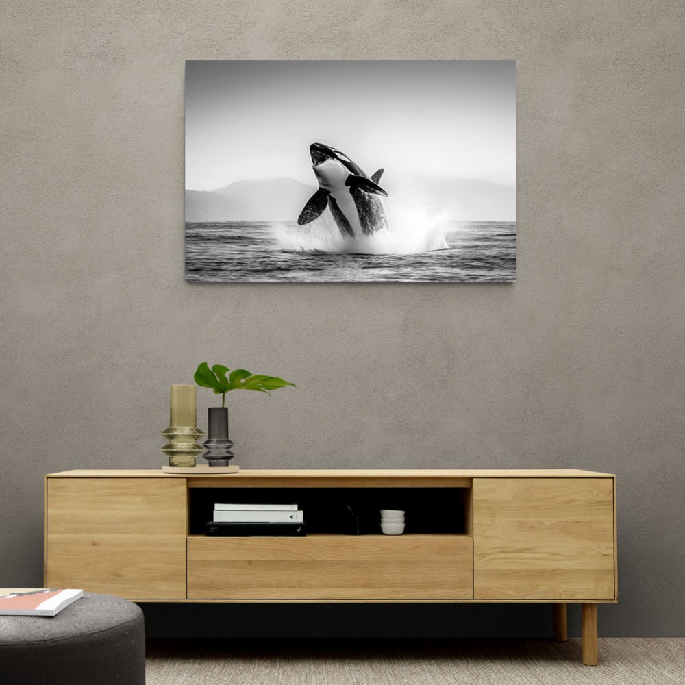 Orca Play Orca Play