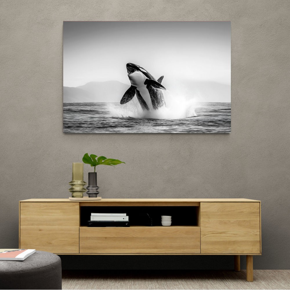 Orca Play Orca Play