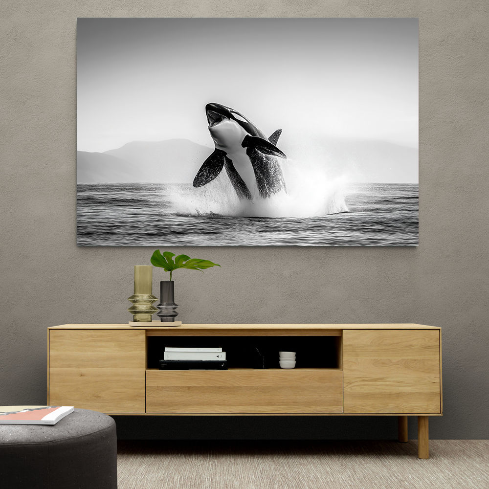 Orca Play Orca Play