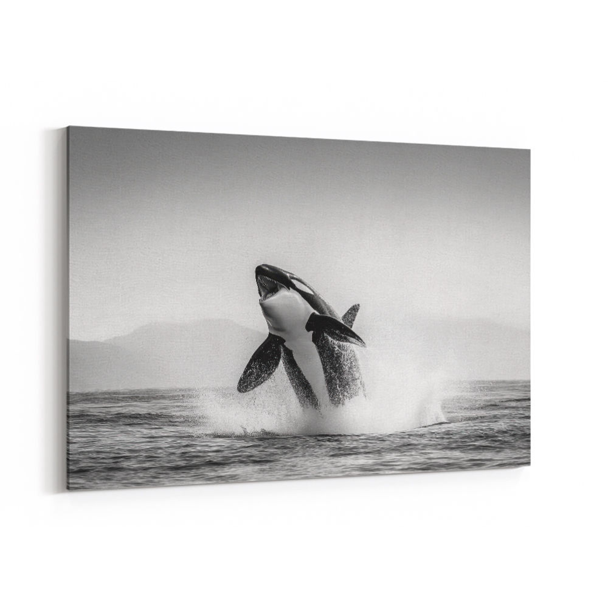 Orca Play Wall Art – Black & White Marine Wildlife Print