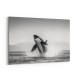 Orca Play Orca Play