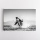 Orca Play Orca Play