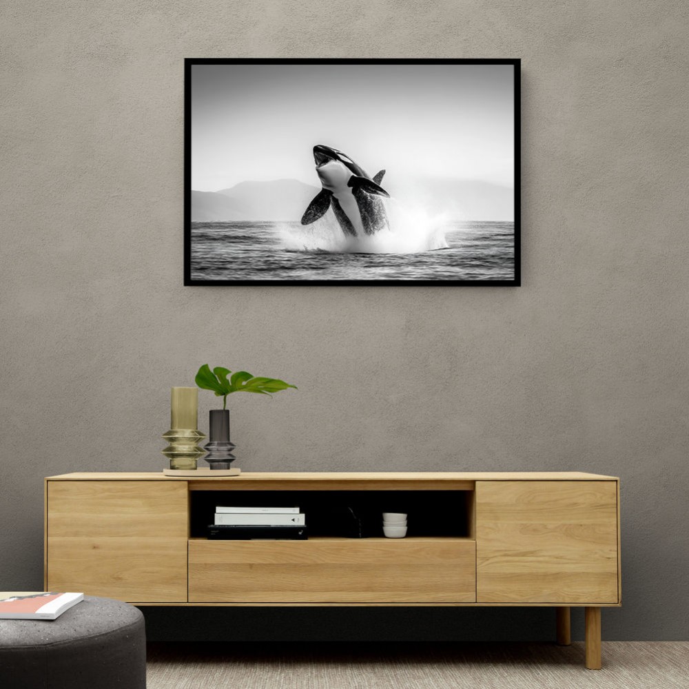 Orca Play Orca Play