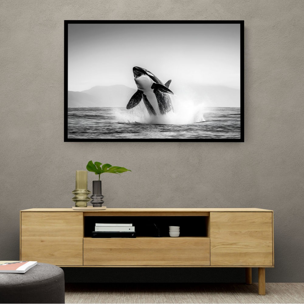Orca Play Orca Play