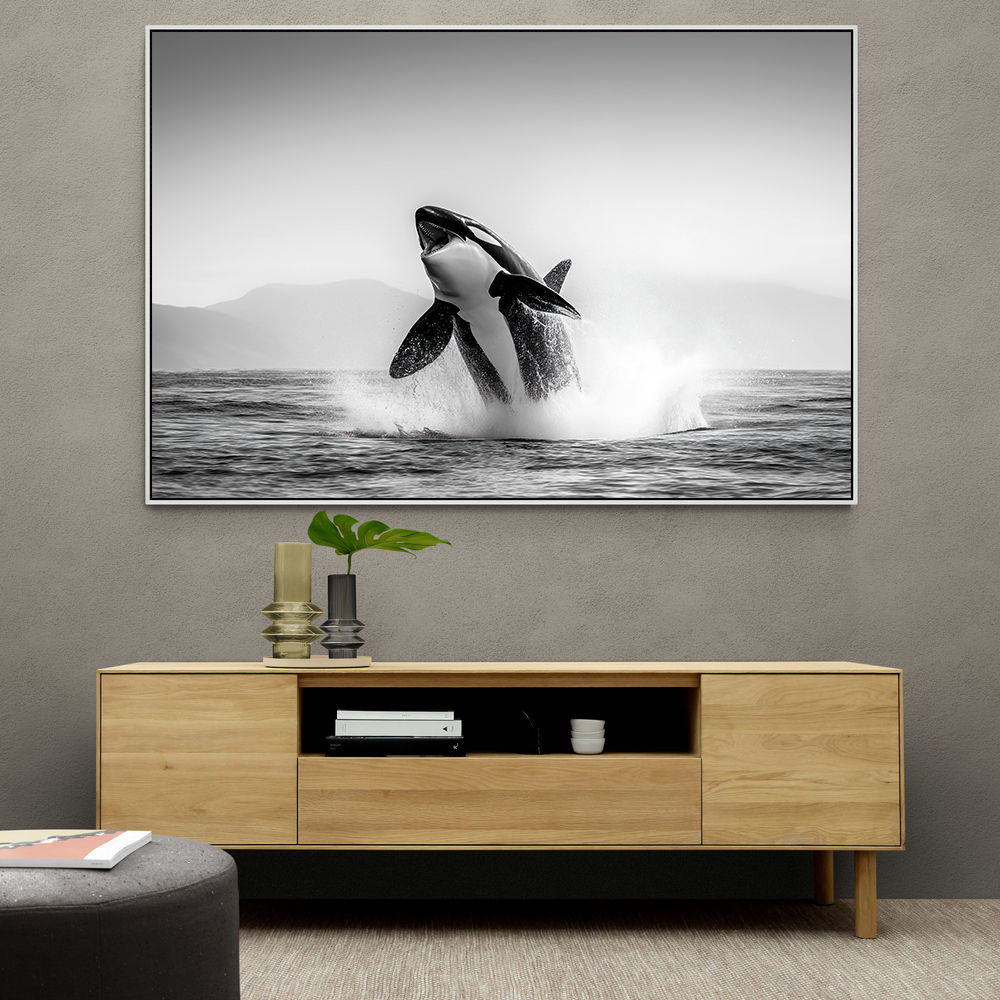 Orca Play Orca Play