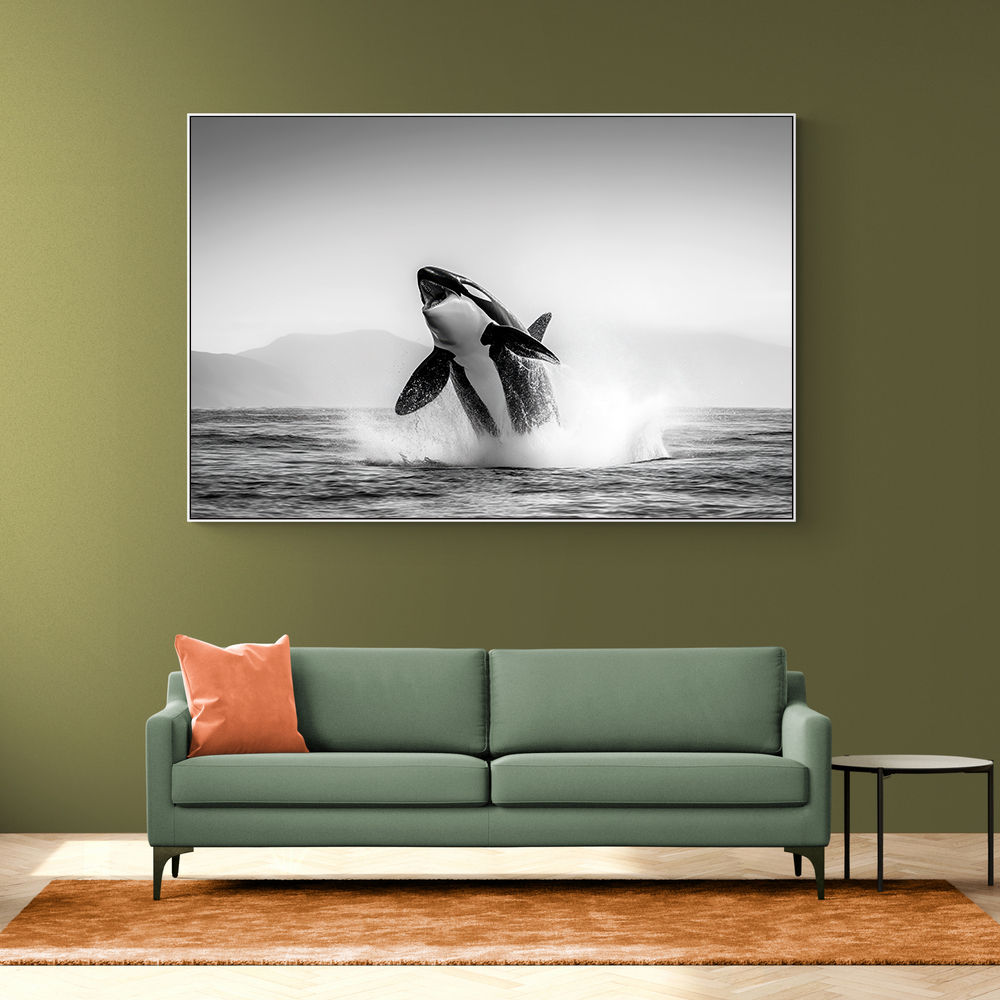 Orca Play Orca Play