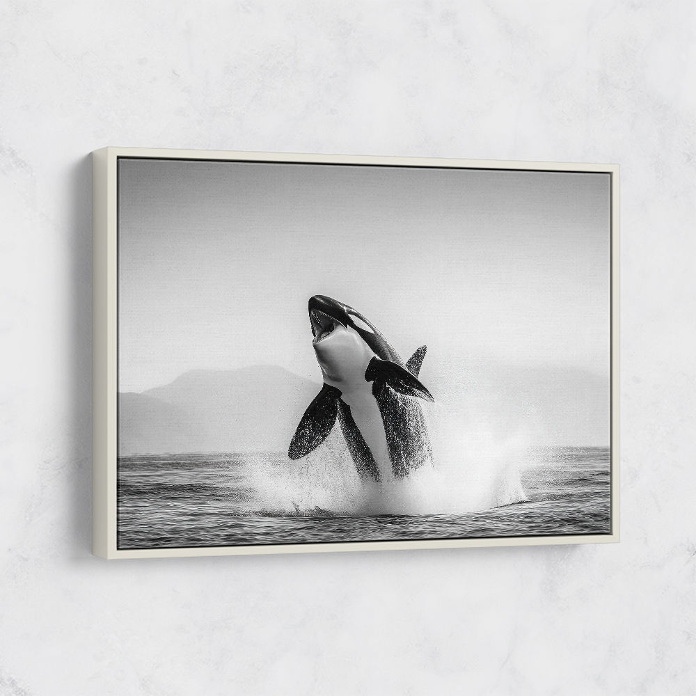 Orca Play Orca Play