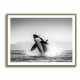 Orca Play Orca Play