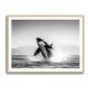 Orca Play Orca Play