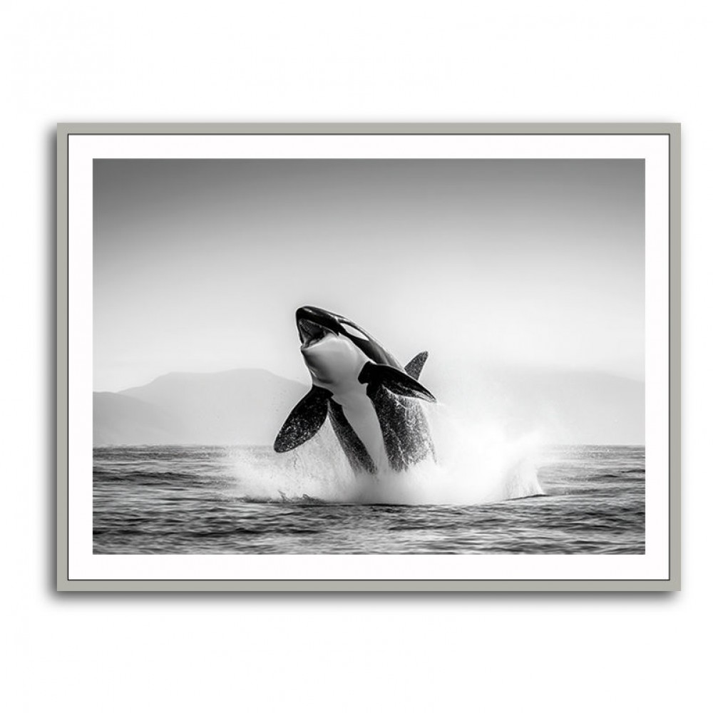 Orca Play Orca Play