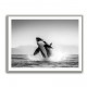 Orca Play Orca Play