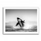 Orca Play Orca Play