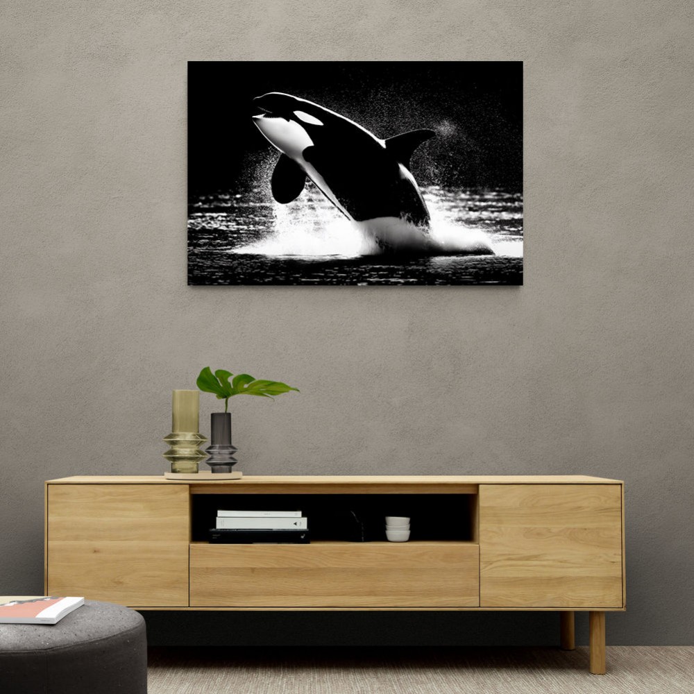 Flying Orca Flying Orca