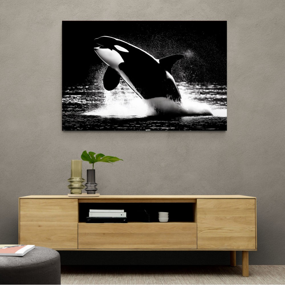 Flying Orca Flying Orca