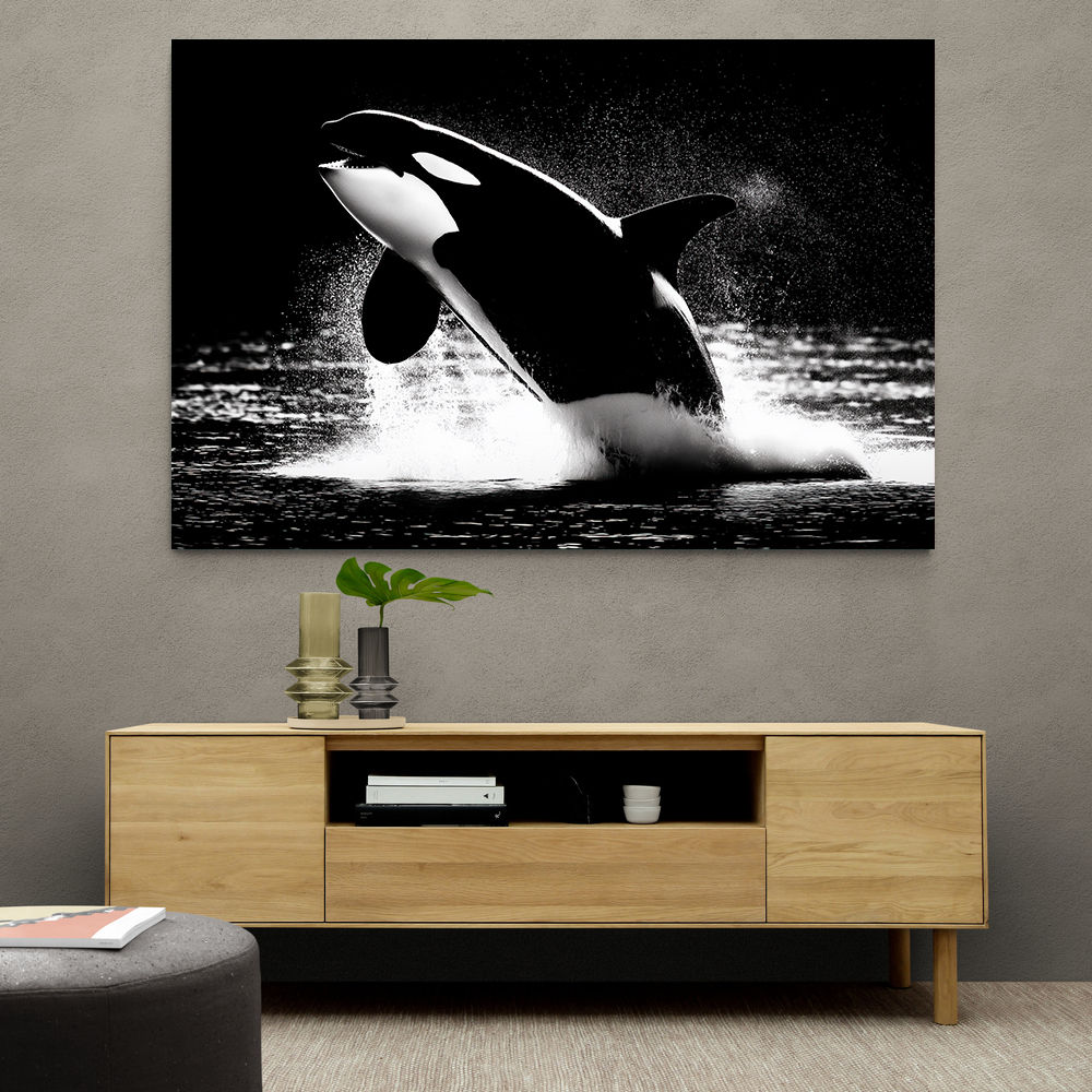 Flying Orca Flying Orca
