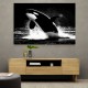 Flying Orca Flying Orca