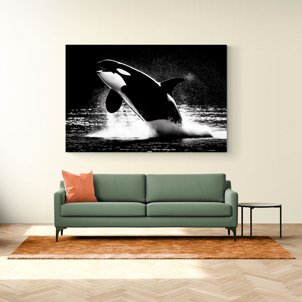 Flying Orca Flying Orca