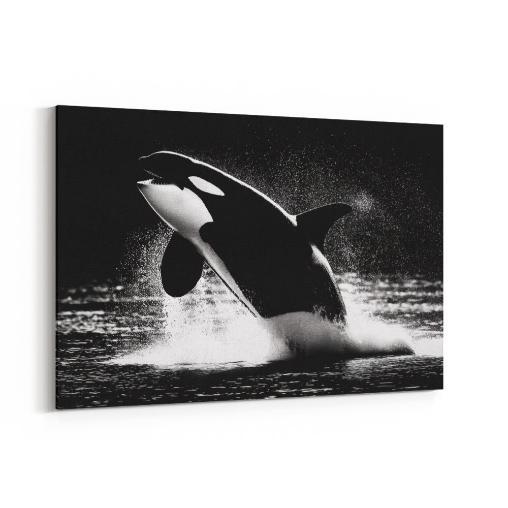 Flying Orca Flying Orca