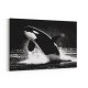 Flying Orca Flying Orca