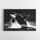 Flying Orca Flying Orca