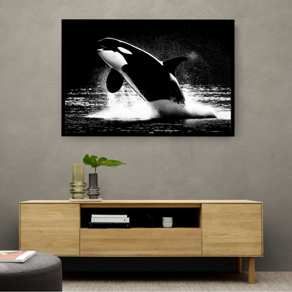 Flying Orca Flying Orca