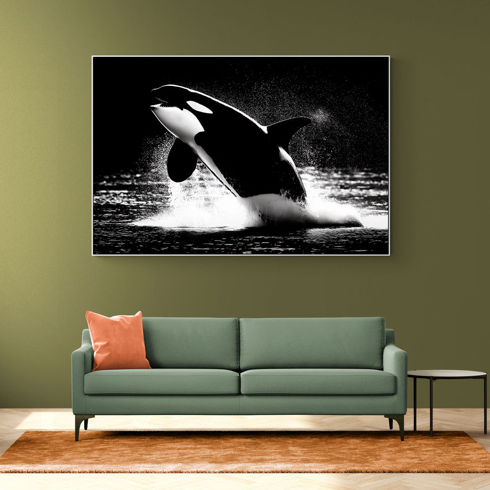 Flying Orca Flying Orca