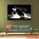 Flying Orca Flying Orca