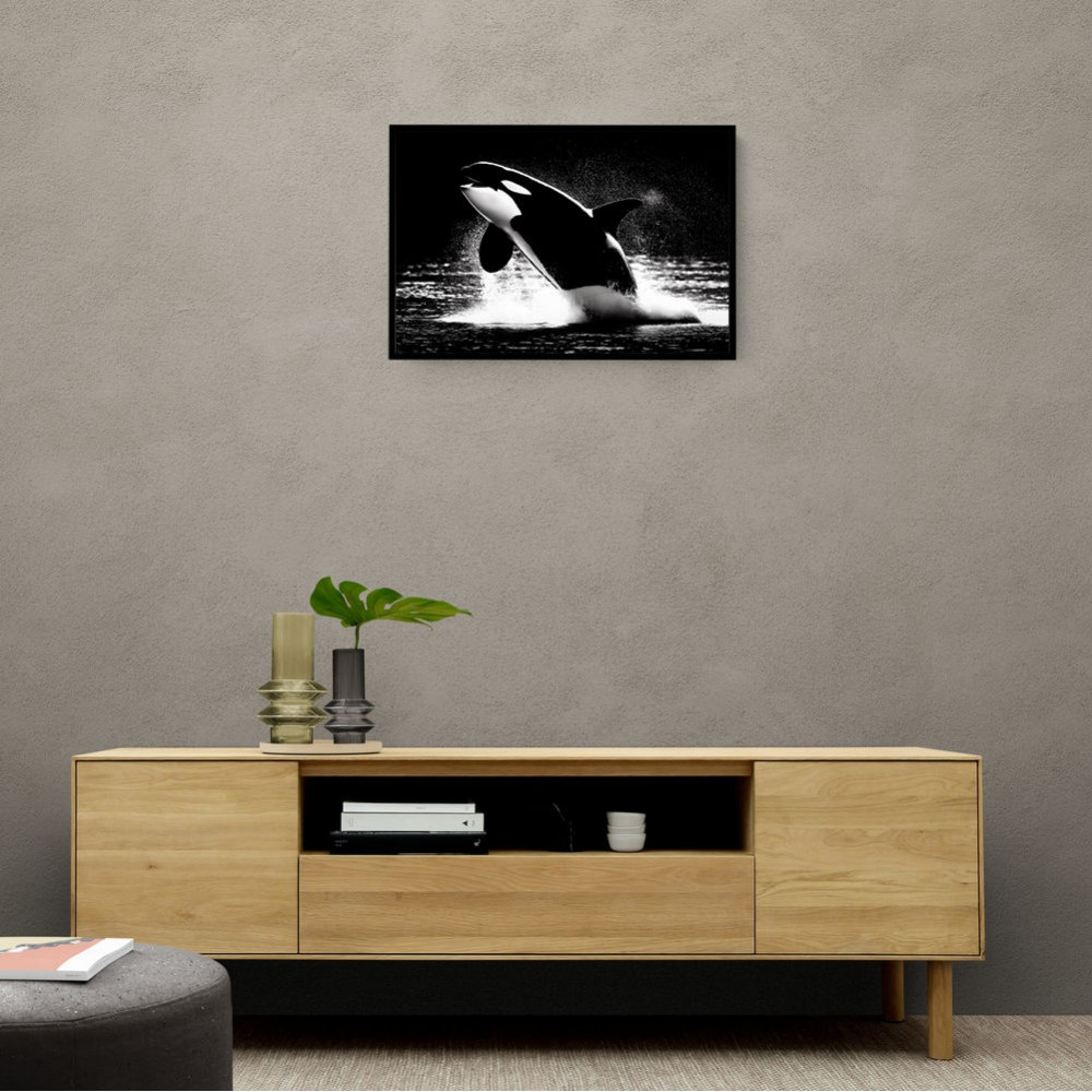 Flying Orca Flying Orca
