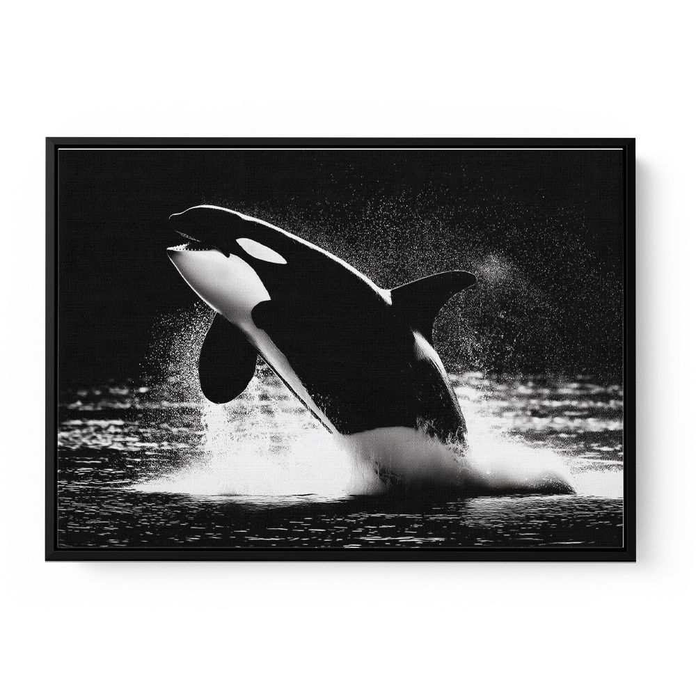 Flying Orca Flying Orca