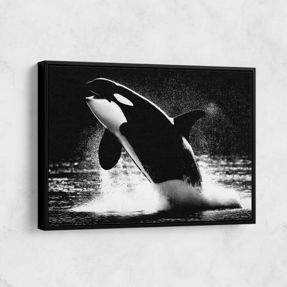 Flying Orca Flying Orca
