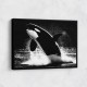 Flying Orca Flying Orca