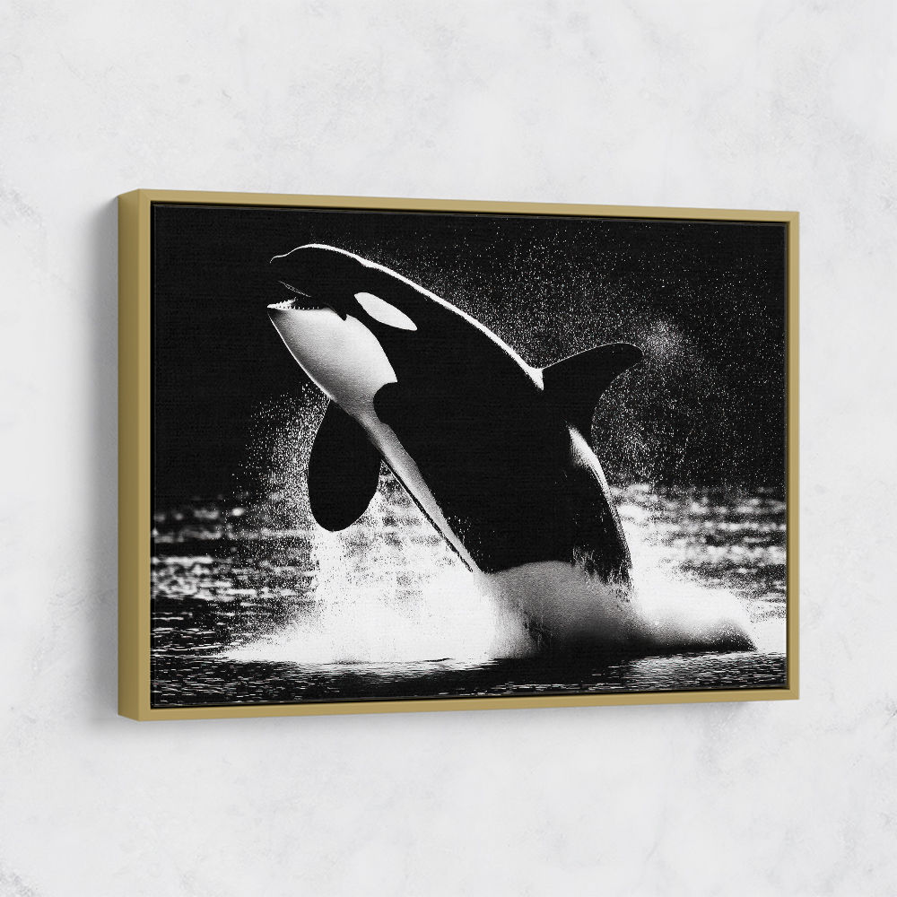 Flying Orca Flying Orca