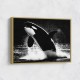 Flying Orca Flying Orca