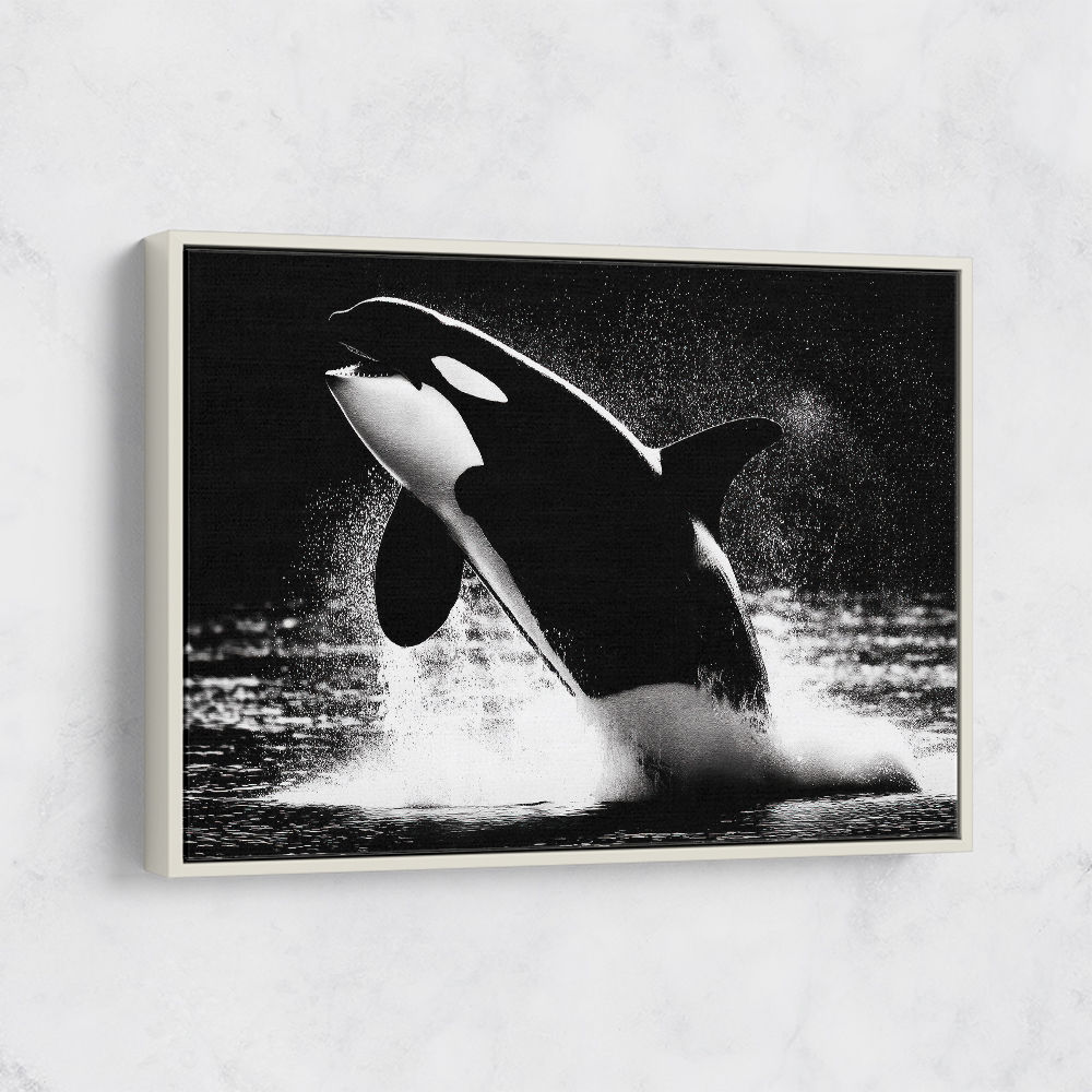 Flying Orca Flying Orca
