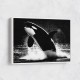 Flying Orca Flying Orca