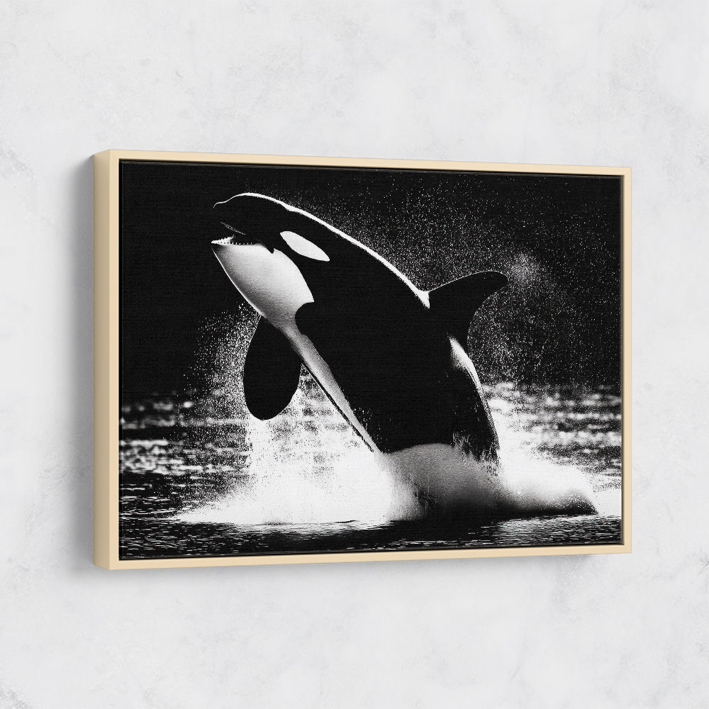 Flying Orca Flying Orca