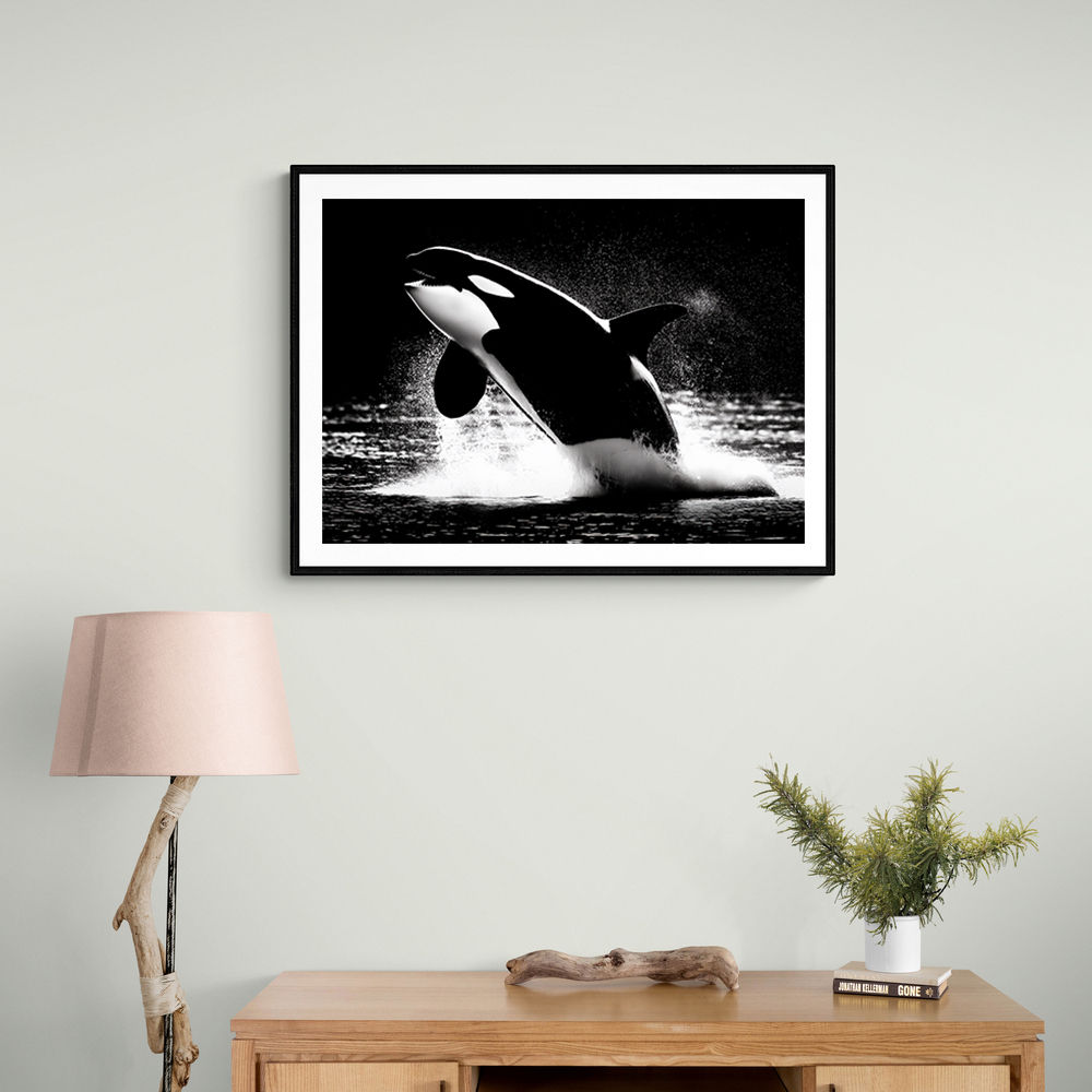 Flying Orca Flying Orca