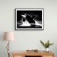 Flying Orca Flying Orca