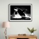 Flying Orca Flying Orca