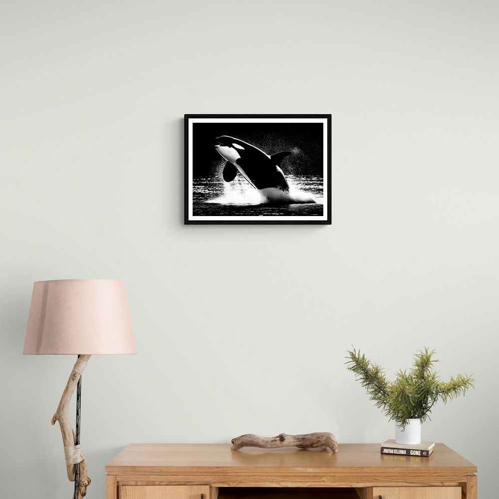 Flying Orca Flying Orca