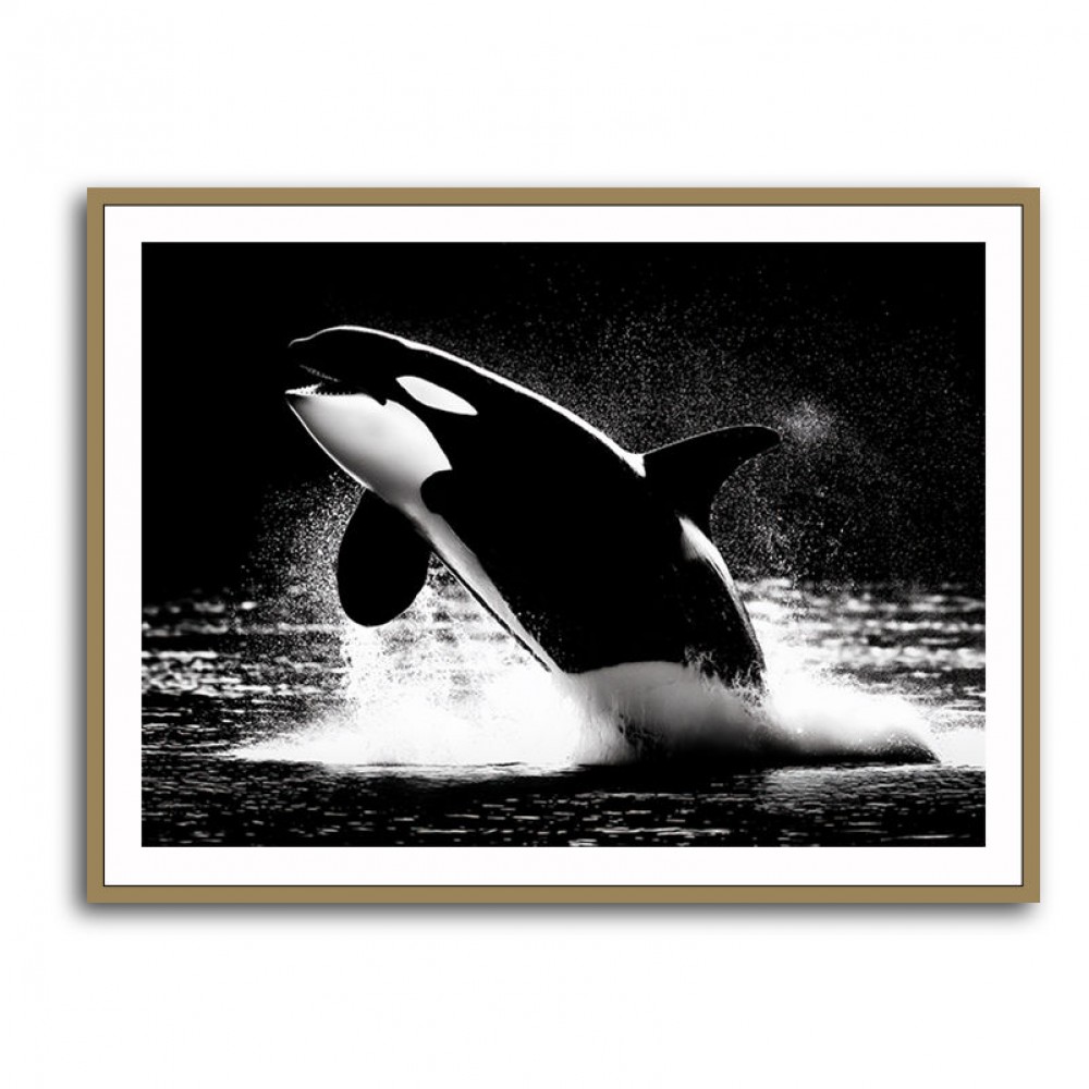 Flying Orca Flying Orca