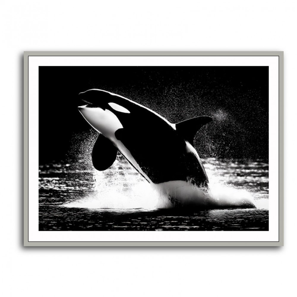 Flying Orca Flying Orca